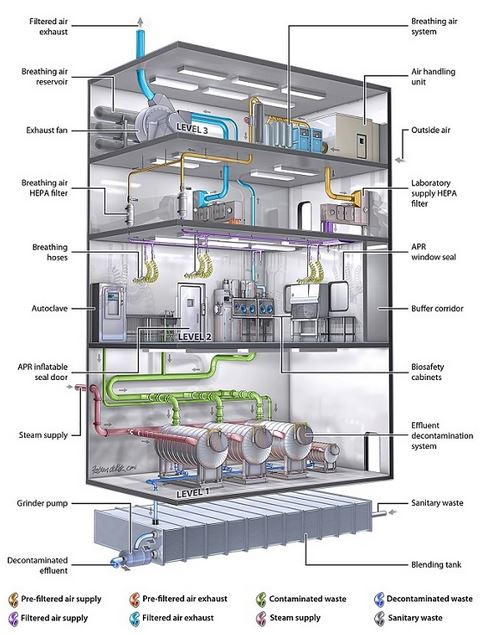 Biosafety levels