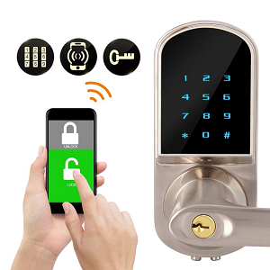 Bluetooth Electronic Locks